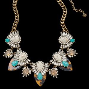 Tortoise and turquoise statement neclace